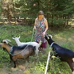 Alm In Schoellbuechl, Фермерский дом *