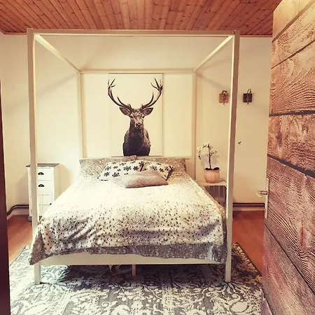 Farm stay Alm In Schoellbuechl,