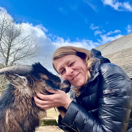 Alm In Schoellbuechl, Sankt Martin (Gmund)