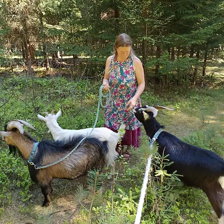 Alm In Schoellbuechl, Farm stay *