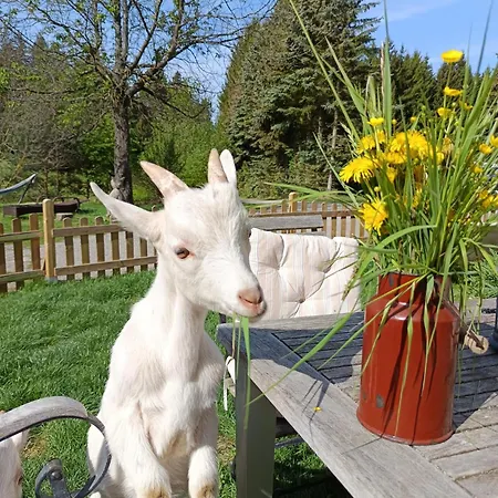 Séjour à la ferme Alm In Schoellbuechl, Sankt Martin (Gmund)