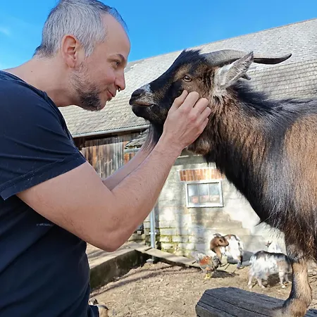 Alm In Schoellbuechl, Farm stay *