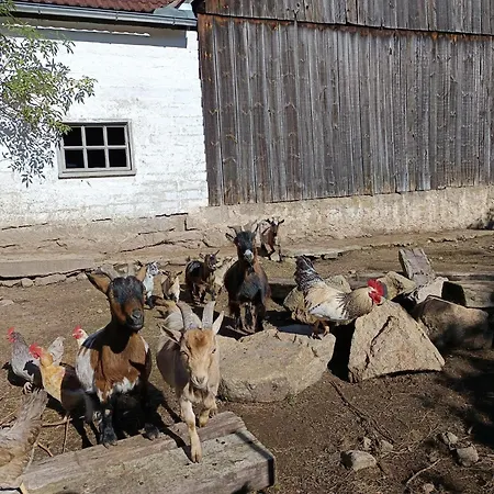 Alm In Schöllbüchl, * Sankt Martin (Gmund)