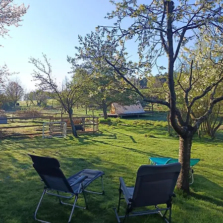Farm stay Alm In Schoellbuechl, *