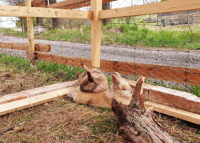 Alm In Schoellbuechl, * Sankt Martin (Gmund)