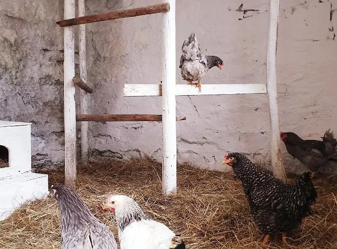 Alm In Schoellbuechl, *