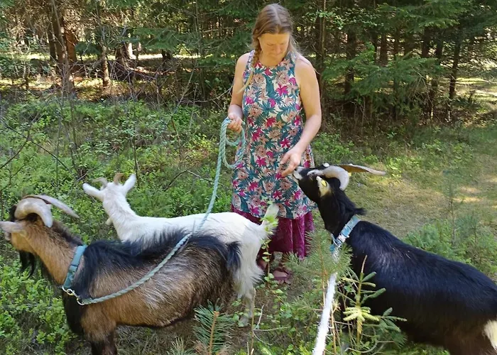 Alm In Schoellbuechl, Фермерский дом *