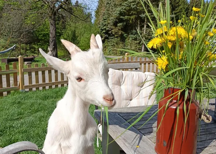 Фермерский дом Alm In Schoellbuechl, Sankt Martin (Gmund)