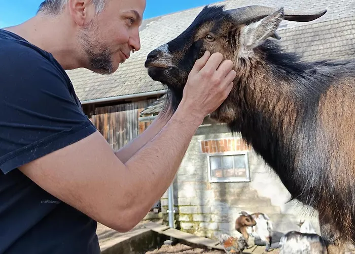 Alm In Schoellbuechl, Фермерский дом *