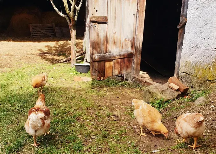 Alm In Schoellbuechl, *