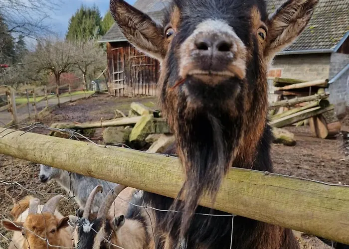 Alm In Schoellbuechl, Фермерский дом Sankt Martin (Gmund)