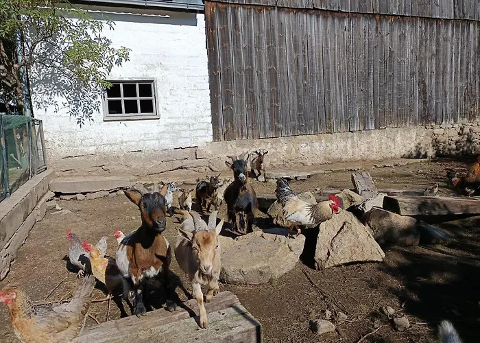 Alm In Schoellbuechl, * Sankt Martin (Gmund)